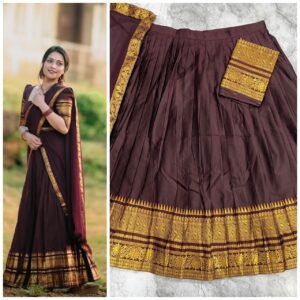 Traditional South Indian style lehenga